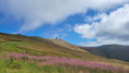 /album/fotogalerie-sommer/ouo-koralpe-0112025-jpg1/